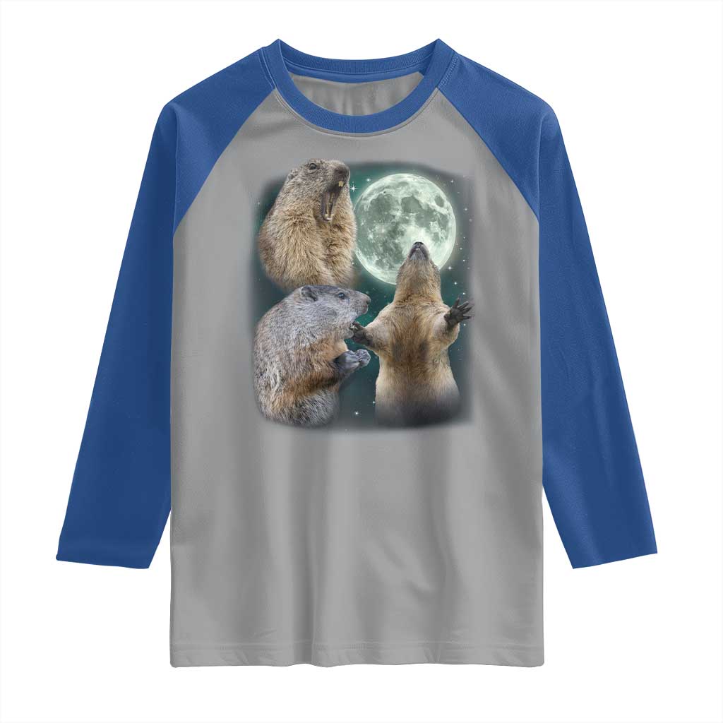 Funny Three Groundhog Moon Groundhog Day Meme Raglan Shirt - Wonder Print Shop