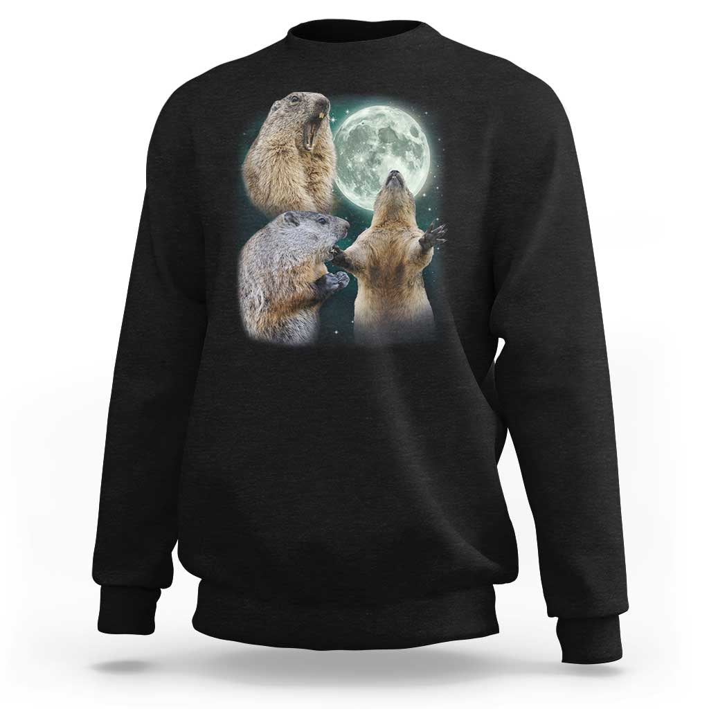 Funny Three Groundhog Moon Groundhog Day Meme Sweatshirt - Wonder Print Shop