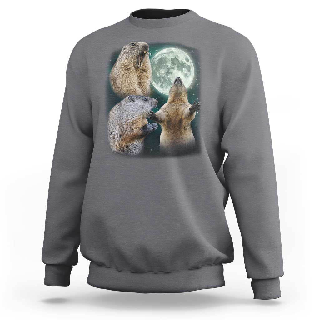 Funny Three Groundhog Moon Groundhog Day Meme Sweatshirt - Wonder Print Shop