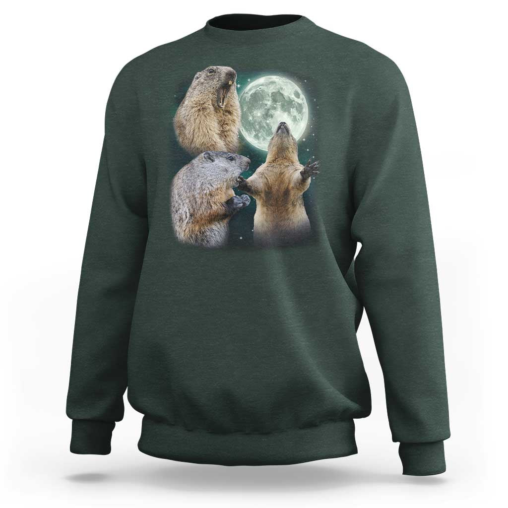 Funny Three Groundhog Moon Groundhog Day Meme Sweatshirt - Wonder Print Shop