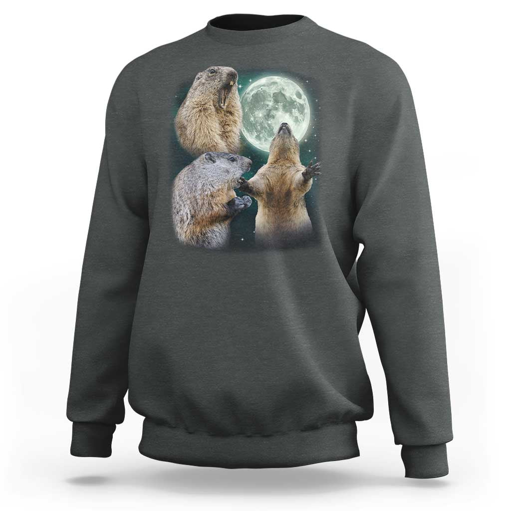 Funny Three Groundhog Moon Groundhog Day Meme Sweatshirt - Wonder Print Shop