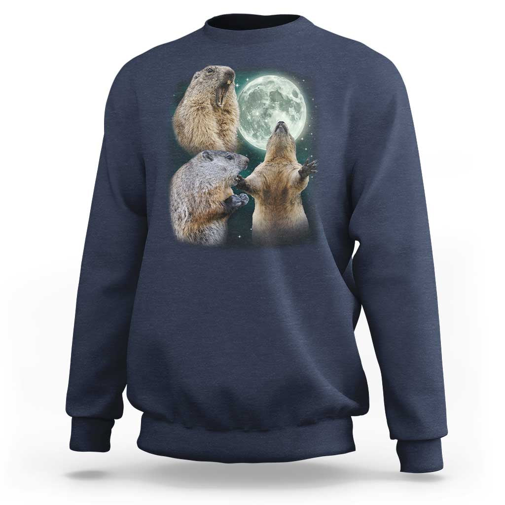 Funny Three Groundhog Moon Groundhog Day Meme Sweatshirt - Wonder Print Shop