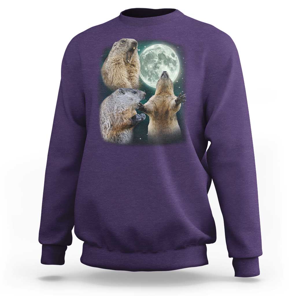 Funny Three Groundhog Moon Groundhog Day Meme Sweatshirt - Wonder Print Shop
