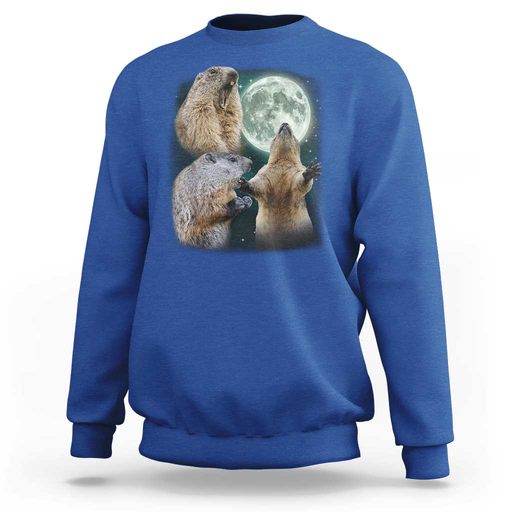 Funny Three Groundhog Moon Groundhog Day Meme Sweatshirt - Wonder Print Shop
