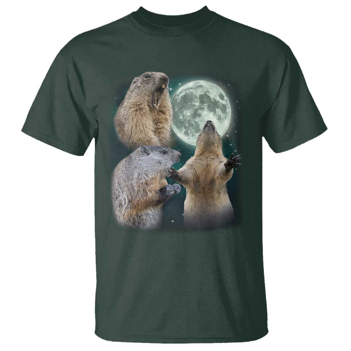 Funny Three Groundhog Moon Groundhog Day Meme T Shirt - Wonder Print Shop