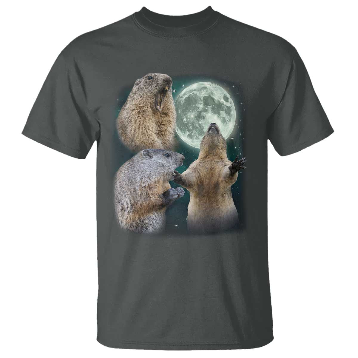 Funny Three Groundhog Moon Groundhog Day Meme T Shirt - Wonder Print Shop