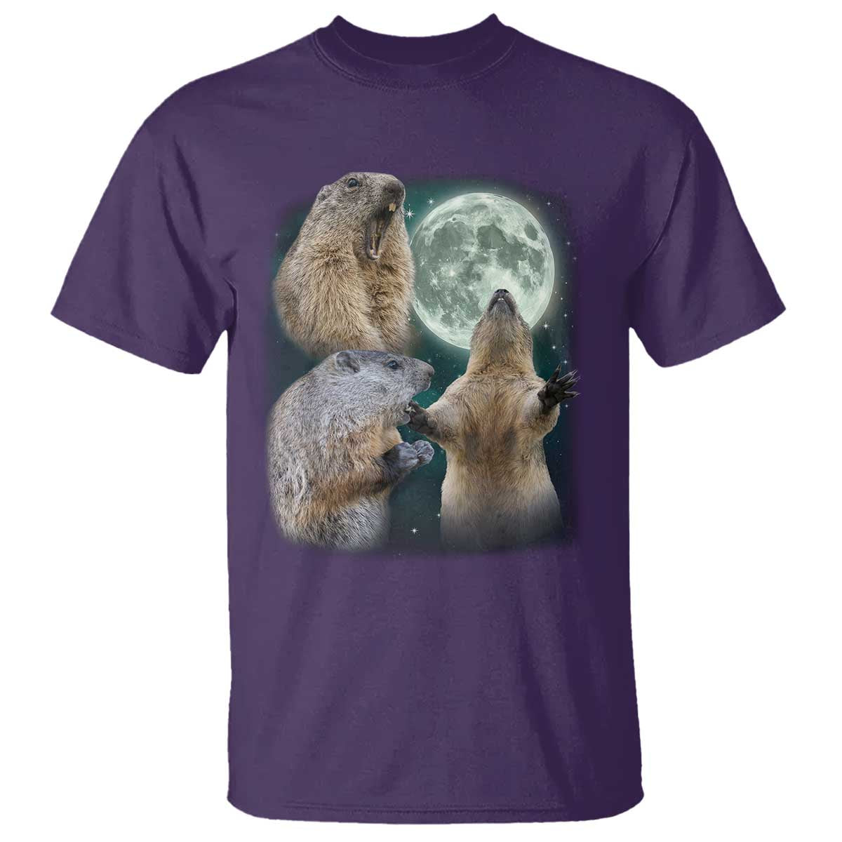 Funny Three Groundhog Moon Groundhog Day Meme T Shirt - Wonder Print Shop