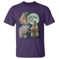 Funny Three Groundhog Moon Groundhog Day Meme T Shirt - Wonder Print Shop
