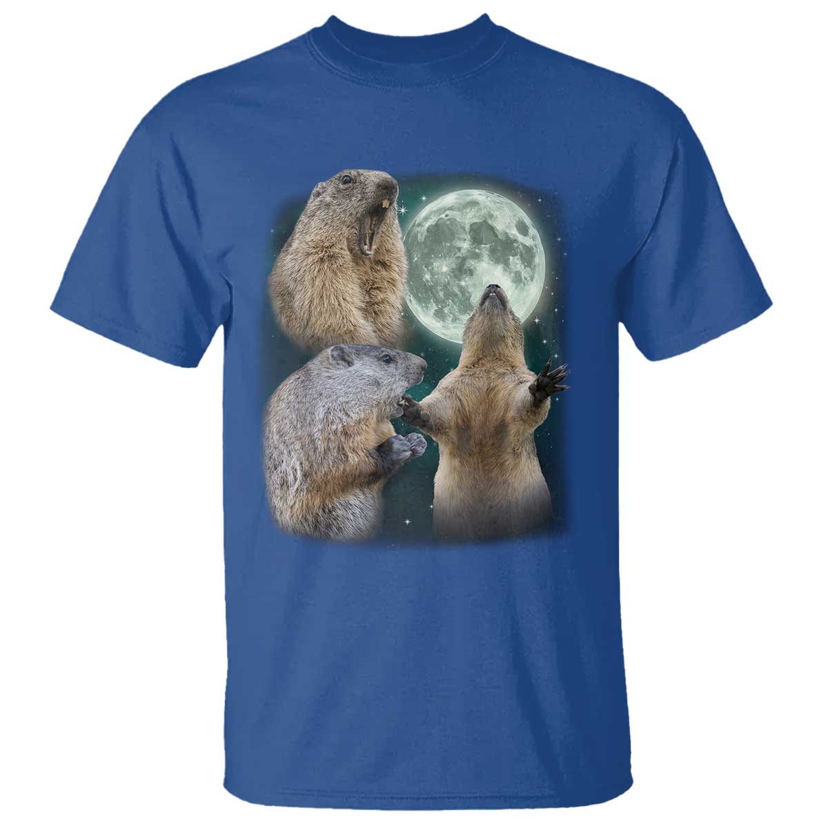 Funny Three Groundhog Moon Groundhog Day Meme T Shirt - Wonder Print Shop