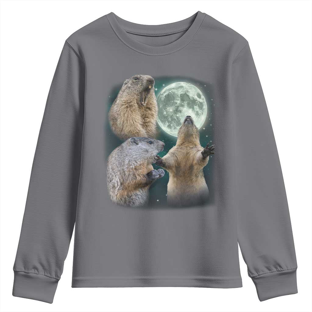 Funny Three Groundhog Moon Groundhog Day Meme Youth Sweatshirt - Wonder Print Shop