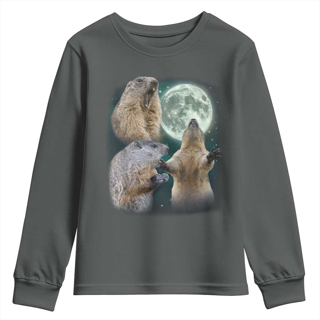 Funny Three Groundhog Moon Groundhog Day Meme Youth Sweatshirt - Wonder Print Shop