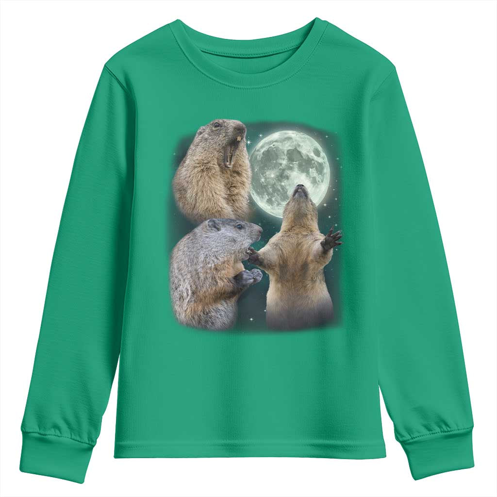 Funny Three Groundhog Moon Groundhog Day Meme Youth Sweatshirt - Wonder Print Shop