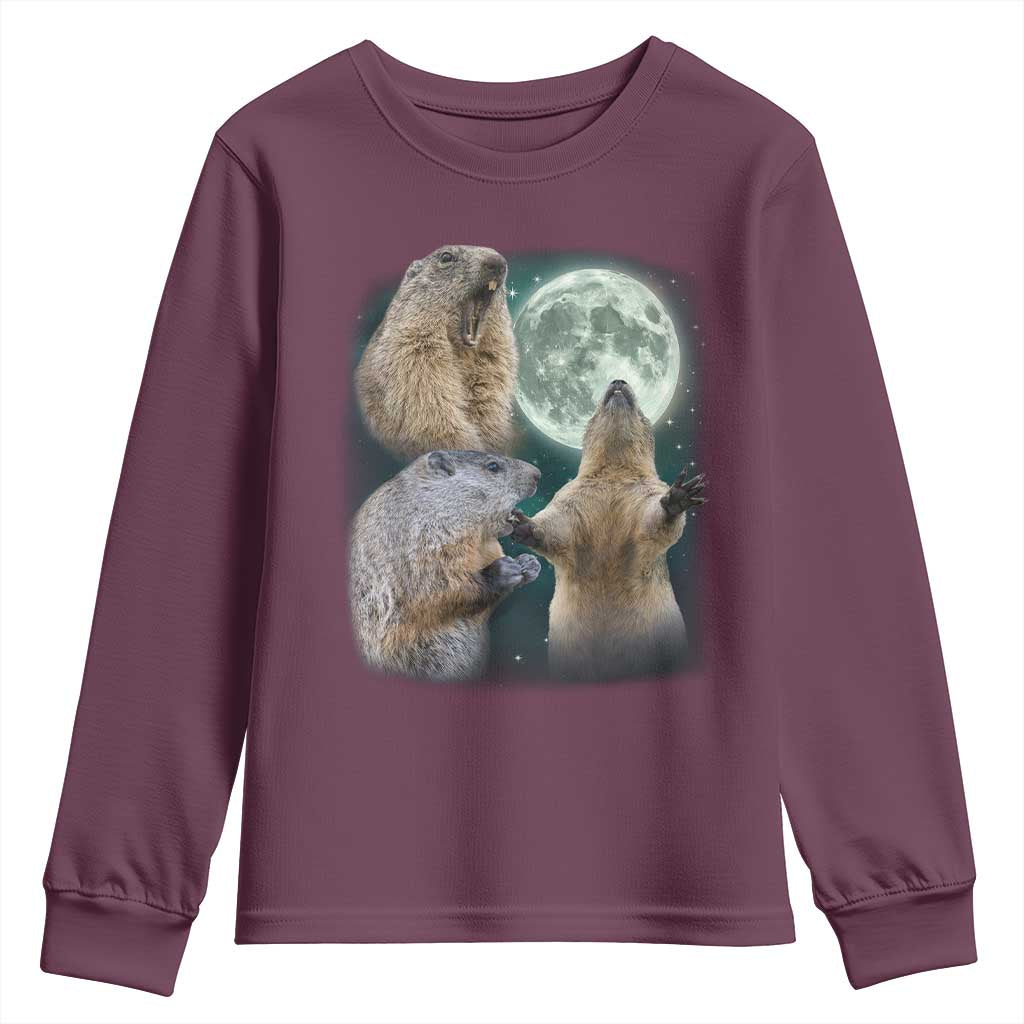 Funny Three Groundhog Moon Groundhog Day Meme Youth Sweatshirt - Wonder Print Shop