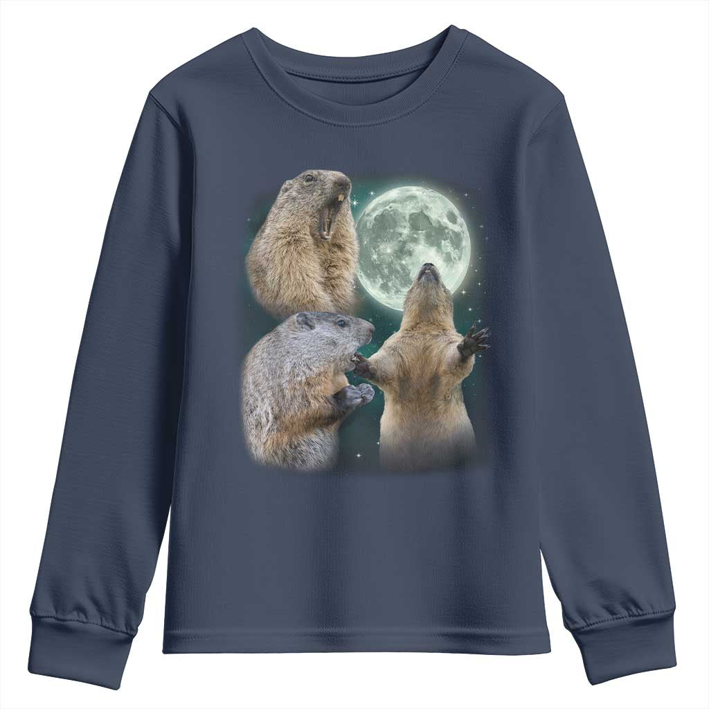 Funny Three Groundhog Moon Groundhog Day Meme Youth Sweatshirt - Wonder Print Shop