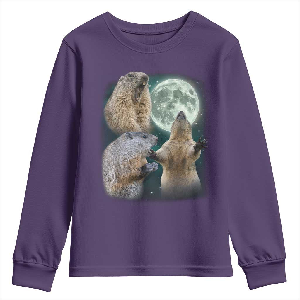 Funny Three Groundhog Moon Groundhog Day Meme Youth Sweatshirt - Wonder Print Shop