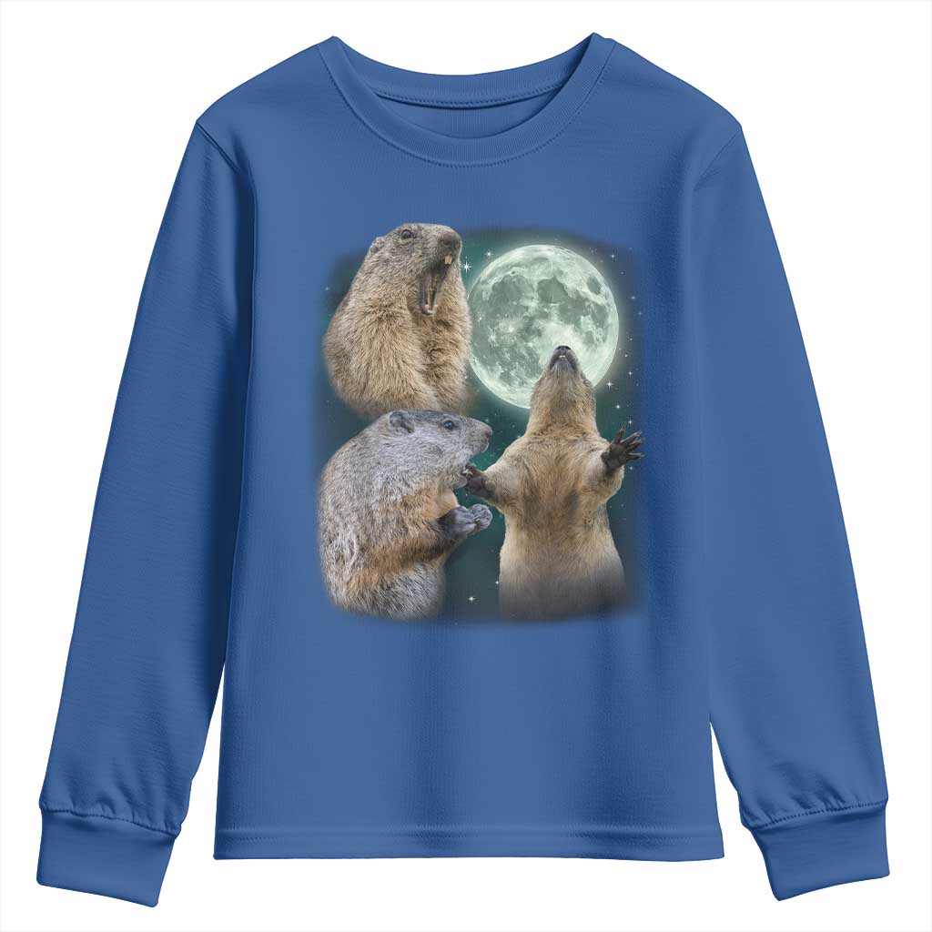 Funny Three Groundhog Moon Groundhog Day Meme Youth Sweatshirt - Wonder Print Shop