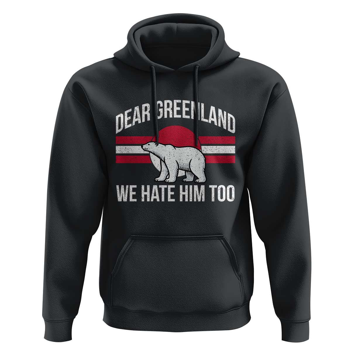 Dear Greenland We Hate Him Too Hoodie Polar Bear Political Protest