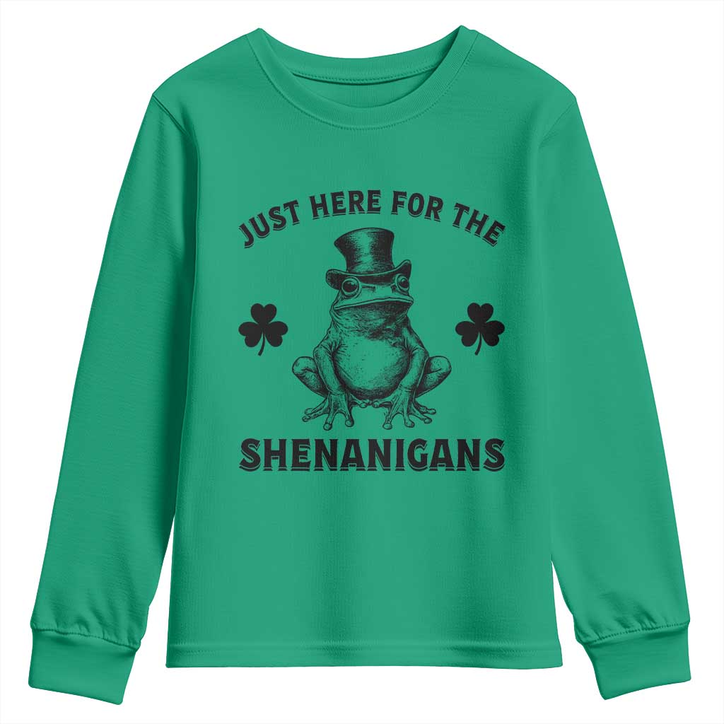 Funny St Patrick's Day Just Here For The Shenanigans Youth Sweatshirt Frog Shamrock