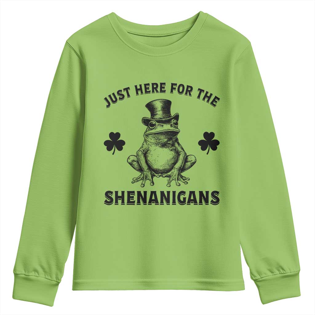 Funny St Patrick's Day Just Here For The Shenanigans Youth Sweatshirt Frog Shamrock