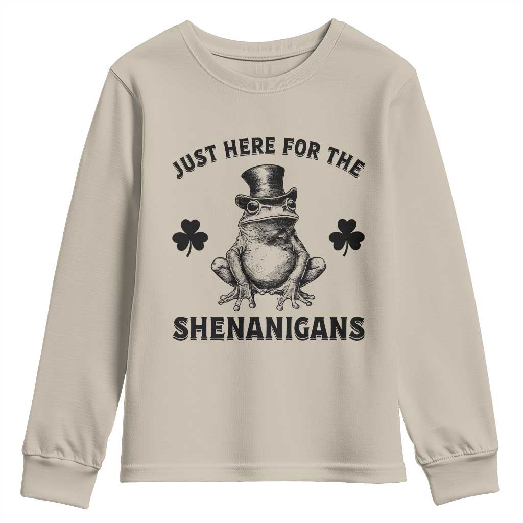 Funny St Patrick's Day Just Here For The Shenanigans Youth Sweatshirt Frog Shamrock