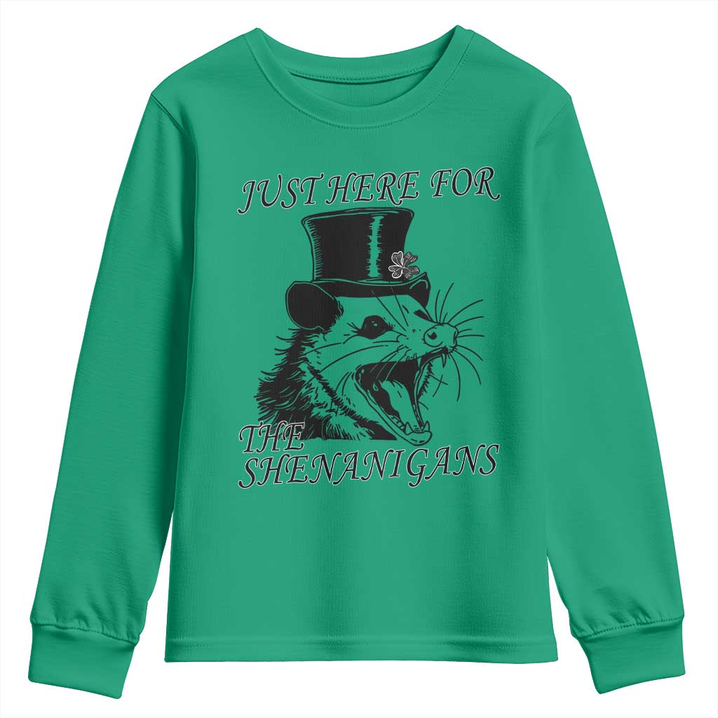 Funny St Patrick's Day Opossum Youth Sweatshirt Just Here For The Shenanigans Shamrock