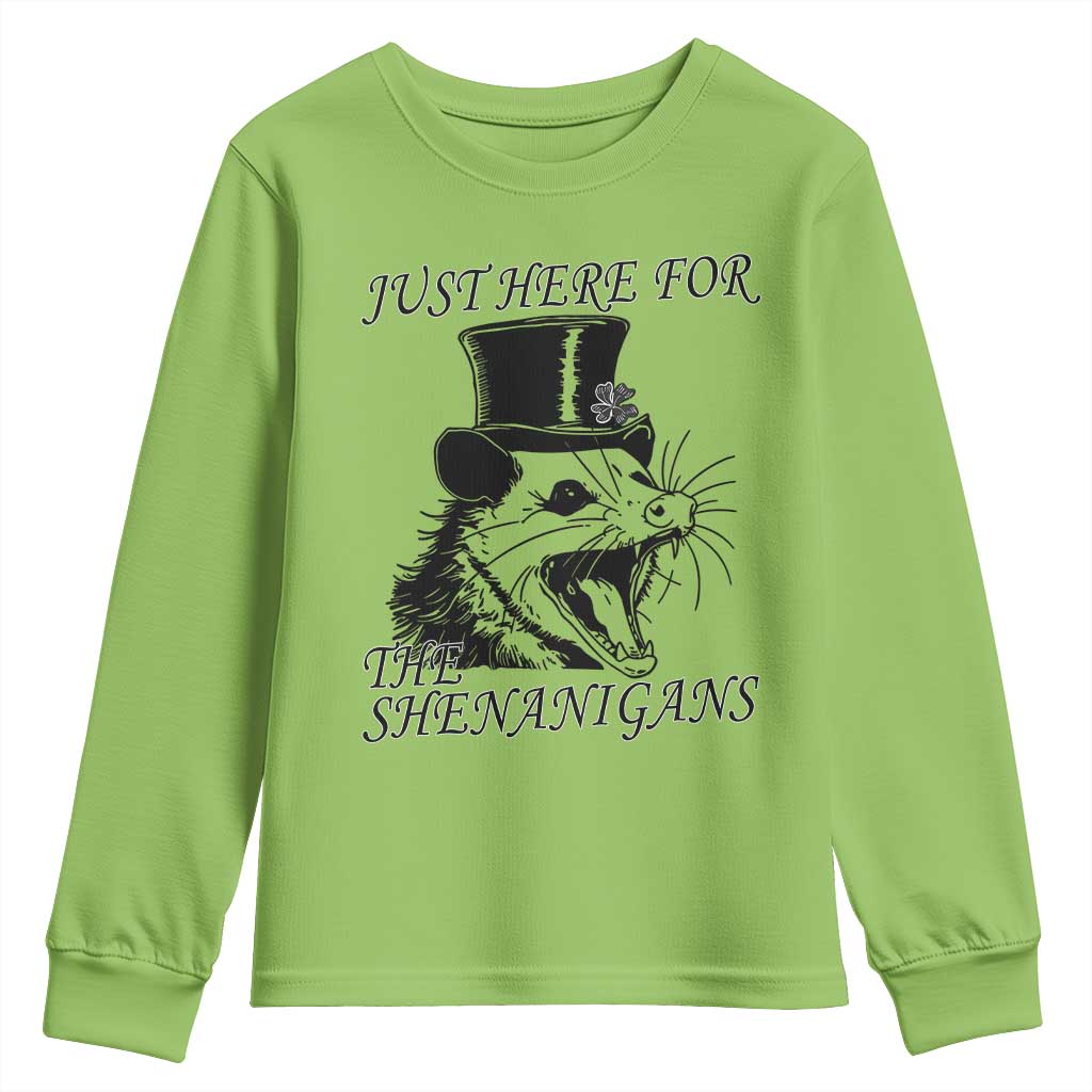Funny St Patrick's Day Opossum Youth Sweatshirt Just Here For The Shenanigans Shamrock