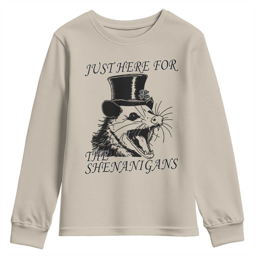 Funny St Patrick's Day Opossum Youth Sweatshirt Just Here For The Shenanigans Shamrock