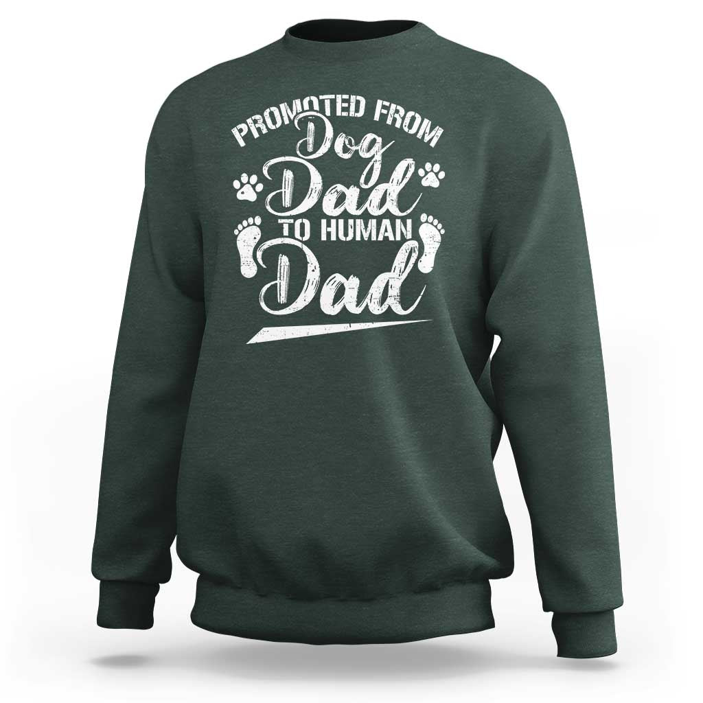 Funny Promoted From Dog Dad To Human Dad Sweatshirt New Father Paw Father's Day