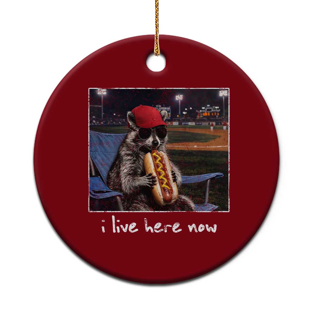 Baseball Raccoon I Live Here Now Ceramic Ornament Funny Trash Panda Eating Hot Dog Ballfield