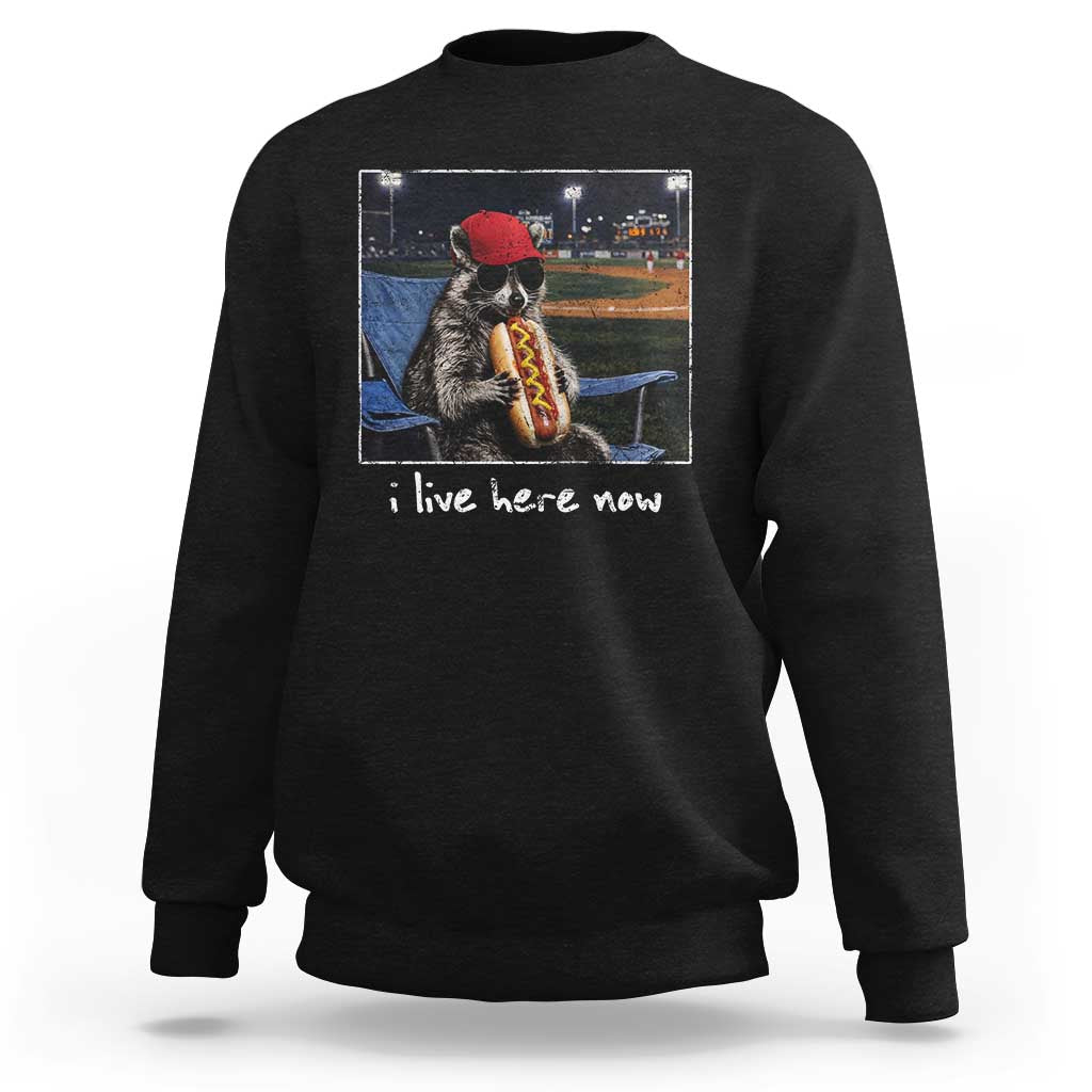 Baseball Raccoon I Live Here Now Sweatshirt Funny Trash Panda Eating Hot Dog Ballfield
