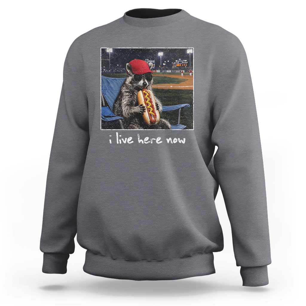 Baseball Raccoon I Live Here Now Sweatshirt Funny Trash Panda Eating Hot Dog Ballfield