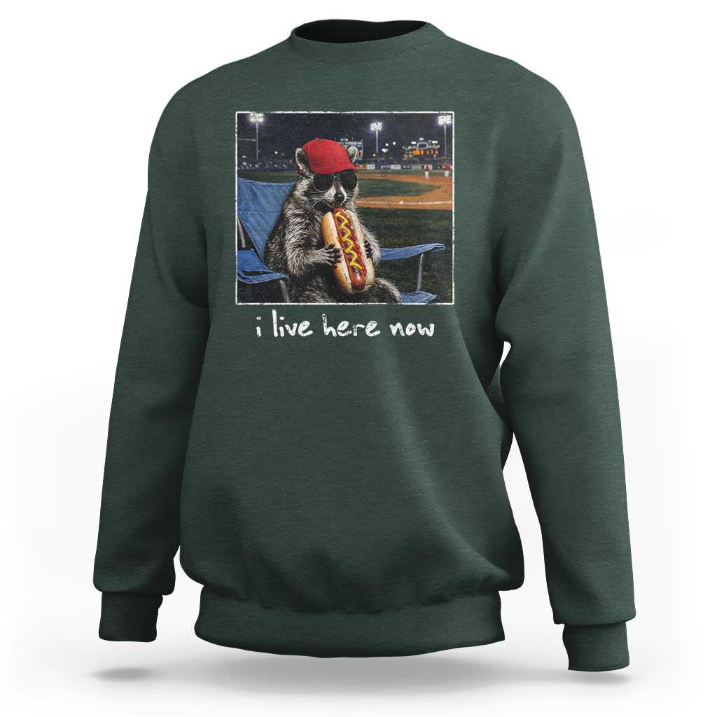 Baseball Raccoon I Live Here Now Sweatshirt Funny Trash Panda Eating Hot Dog Ballfield