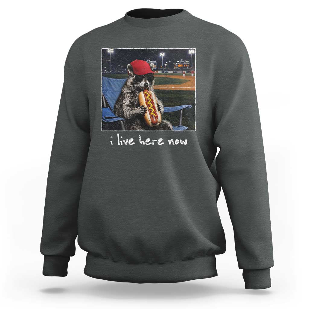 Baseball Raccoon I Live Here Now Sweatshirt Funny Trash Panda Eating Hot Dog Ballfield