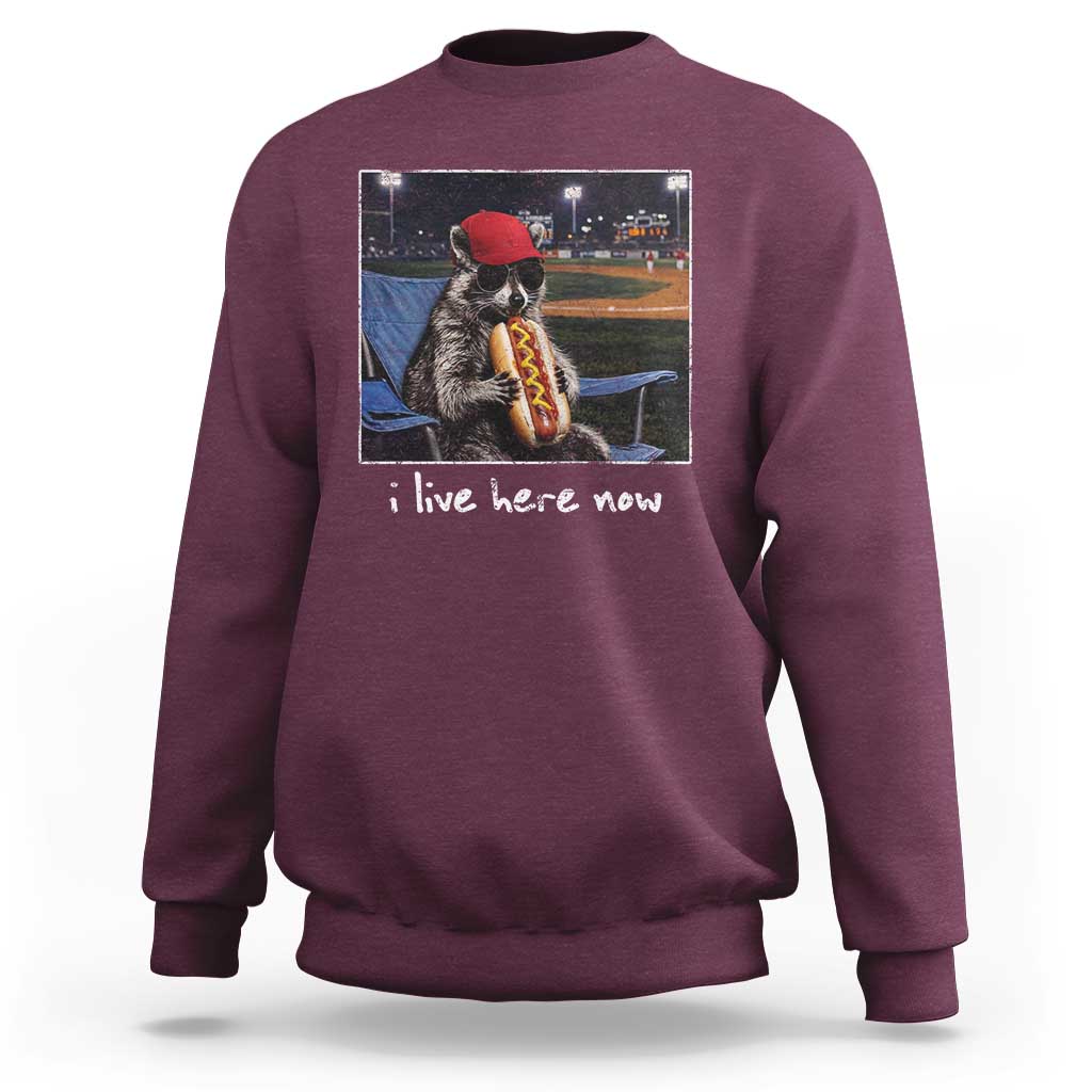 Baseball Raccoon I Live Here Now Sweatshirt Funny Trash Panda Eating Hot Dog Ballfield