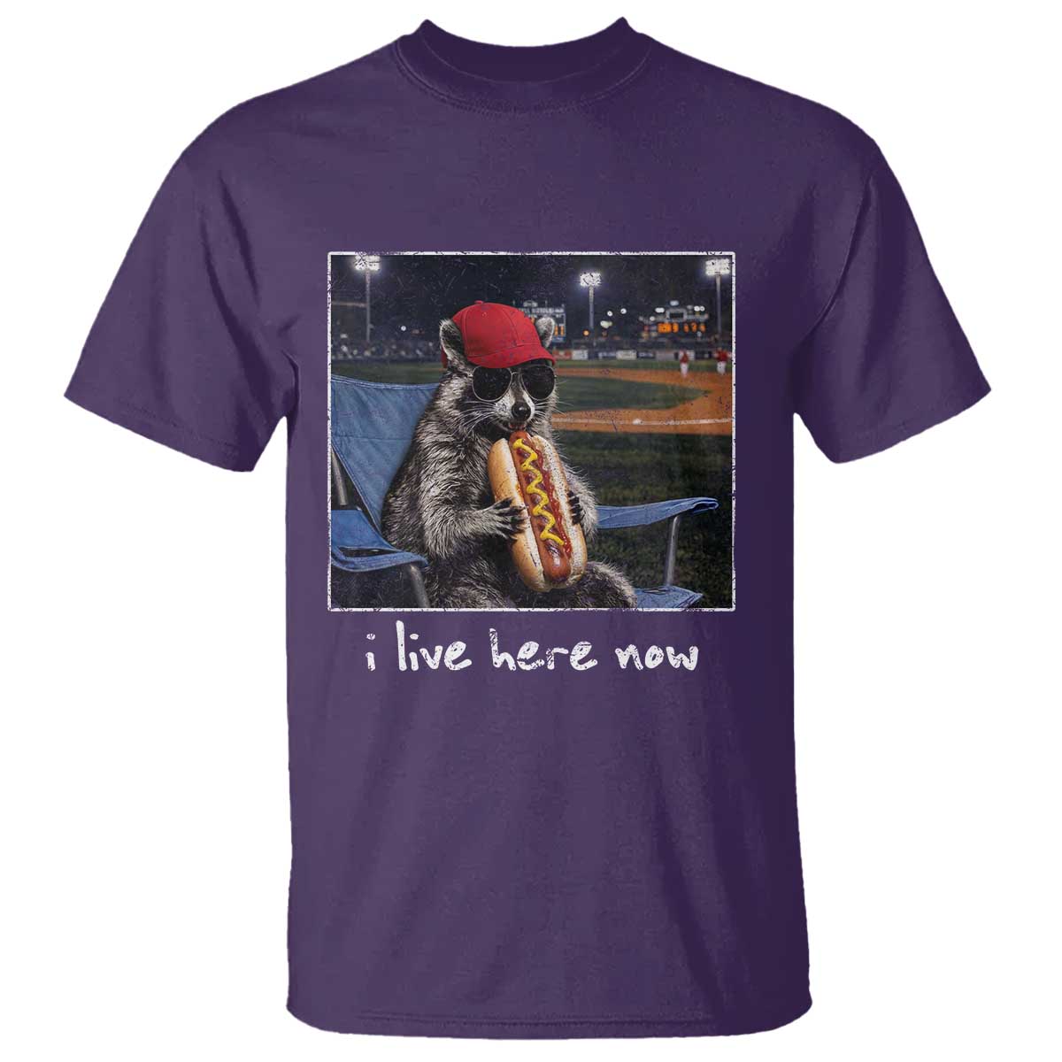 Baseball Raccoon I Live Here Now T Shirt Funny Trash Panda Eating Hot Dog Ballfield