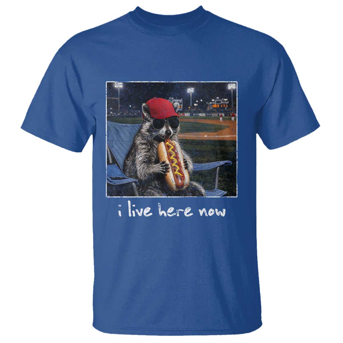 Baseball Raccoon I Live Here Now T Shirt Funny Trash Panda Eating Hot Dog Ballfield