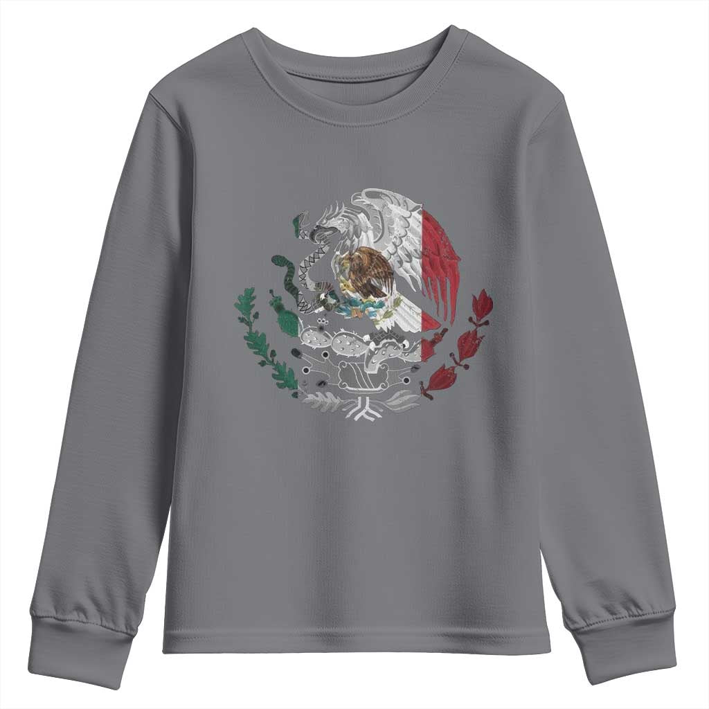 Mexico Coat Of Arms Mexican Flag Seal Symbol Youth Sweatshirt - Wonder Print Shop