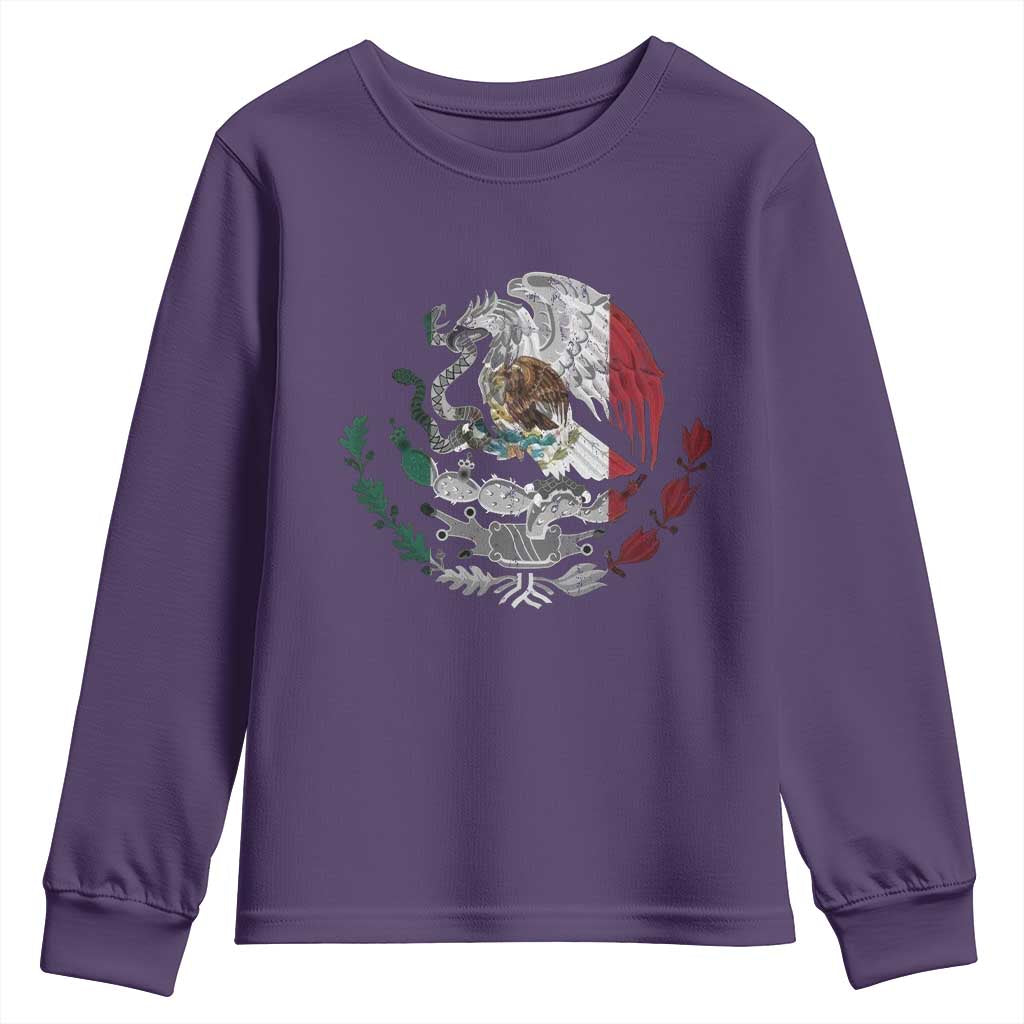 Mexico Coat Of Arms Mexican Flag Seal Symbol Youth Sweatshirt - Wonder Print Shop