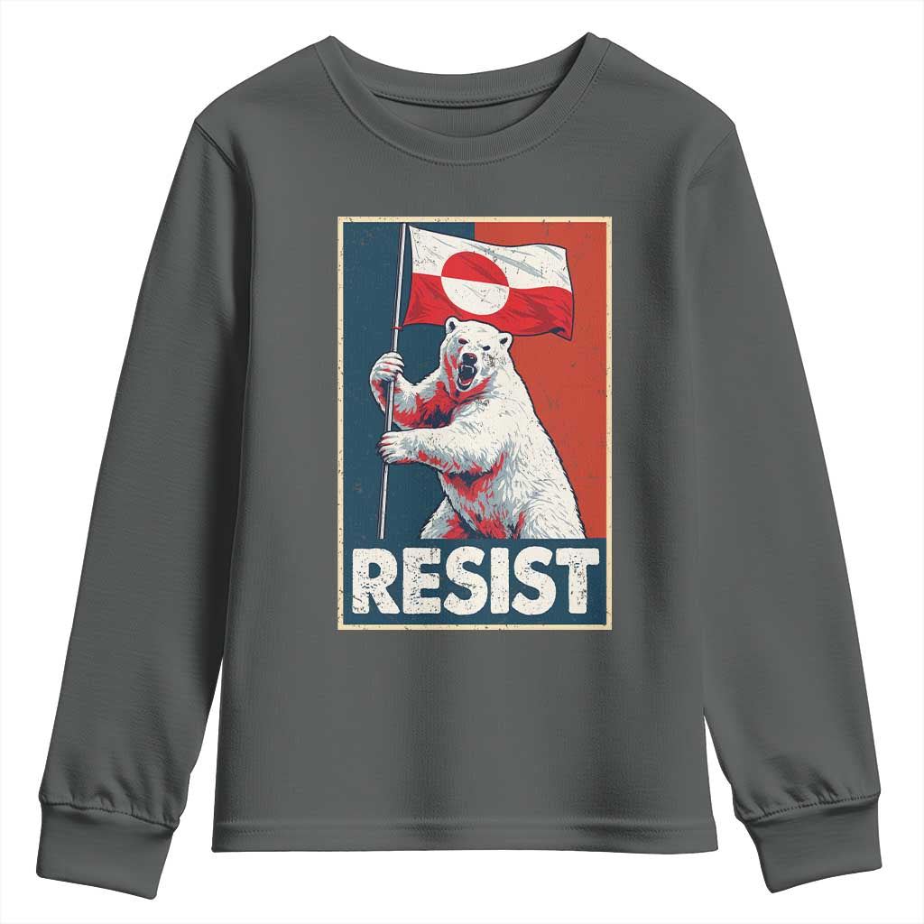 Resist Greenland Polar Bear Holding Flag Art Youth Sweatshirt Resistance Political