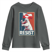 Resist Greenland Polar Bear Holding Flag Art Youth Sweatshirt Resistance Political
