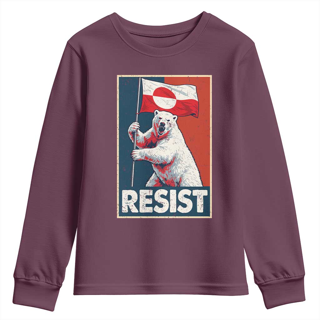Resist Greenland Polar Bear Holding Flag Art Youth Sweatshirt Resistance Political