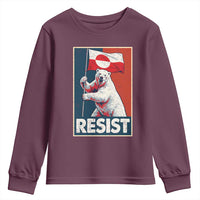 Resist Greenland Polar Bear Holding Flag Art Youth Sweatshirt Resistance Political
