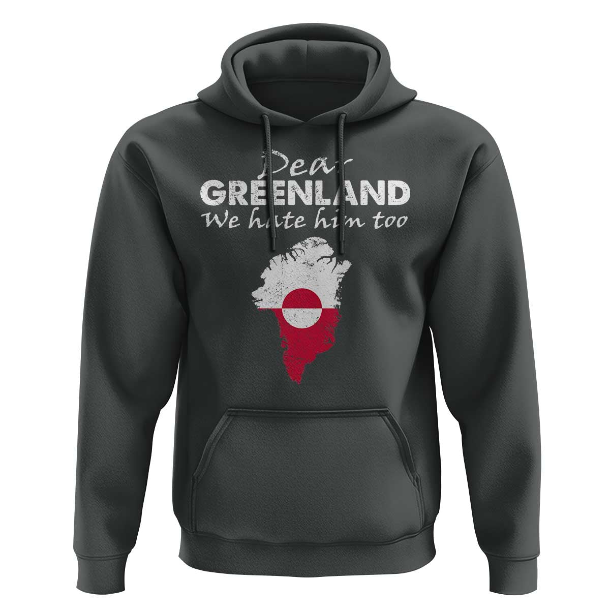 Dear Greenland We Hate Him Too Hoodie Greenland Political Protest