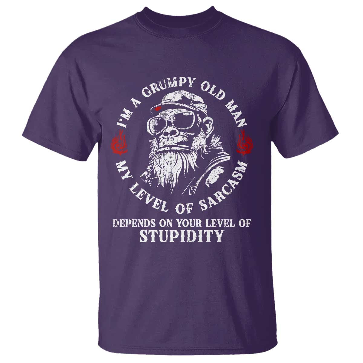 I Am A Grumpy Old Man My Level Of Sarcasm Depends On Your Level Of Stupidity T Shirt Funny Old Bigfoot