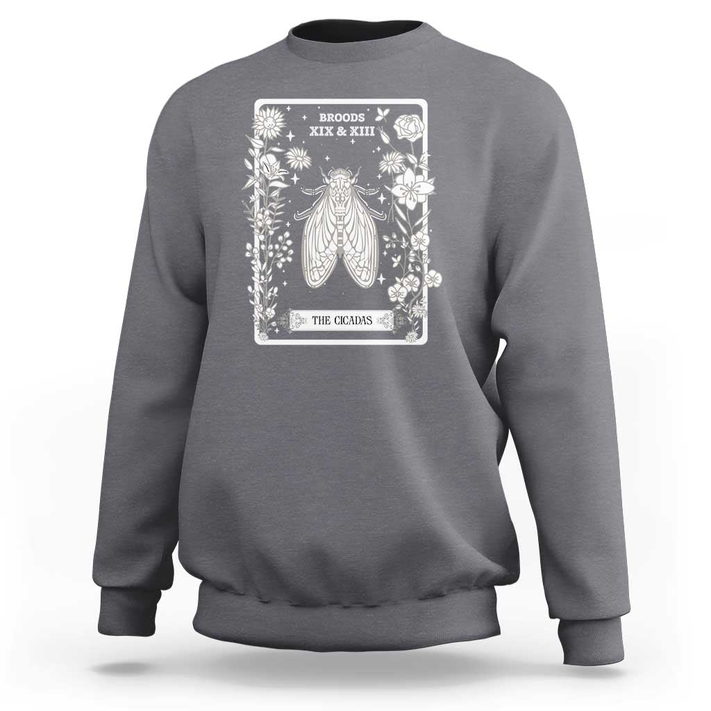 Cicada Sweatshirt Broods XIX And XIII The Cicadas Entomology 2024 - Wonder Print Shop