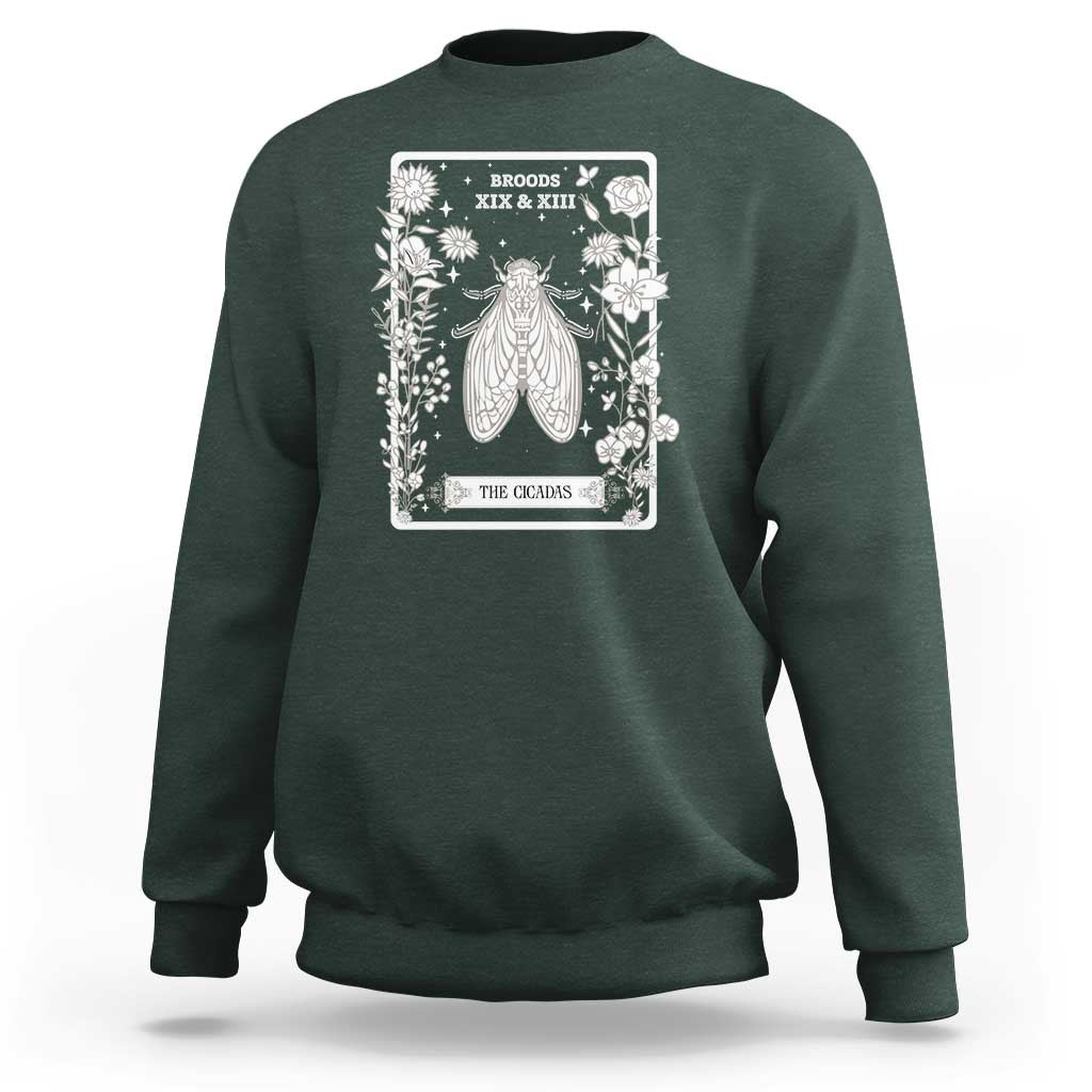 Cicada Sweatshirt Broods XIX And XIII The Cicadas Entomology 2024 - Wonder Print Shop