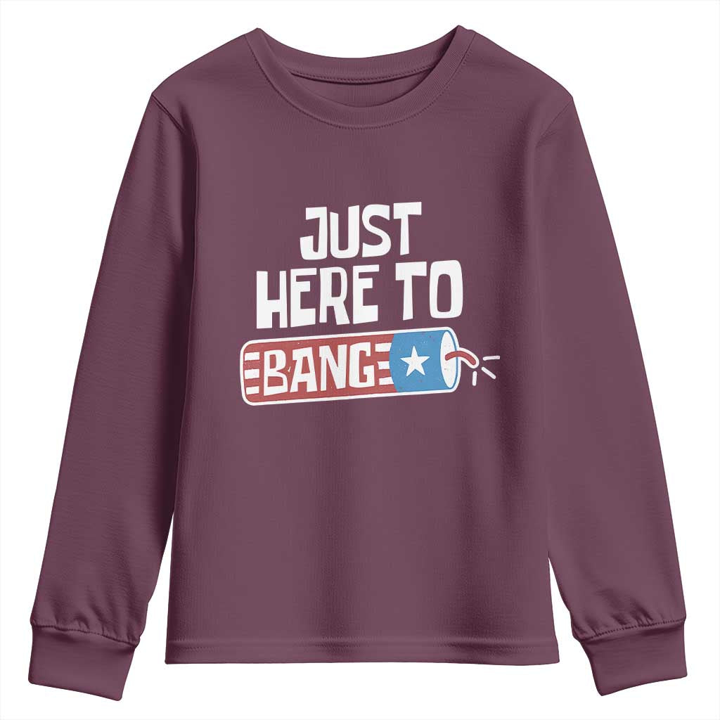 Funny Fireworks Just Here To Bang Youth Sweatshirt American Flag Firecracker - Wonder Print Shop