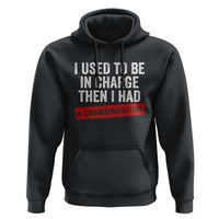 I Used To Be In Charge Then I Had A Granddaughter Hoodie Funny Girl Grandpa Father's Day