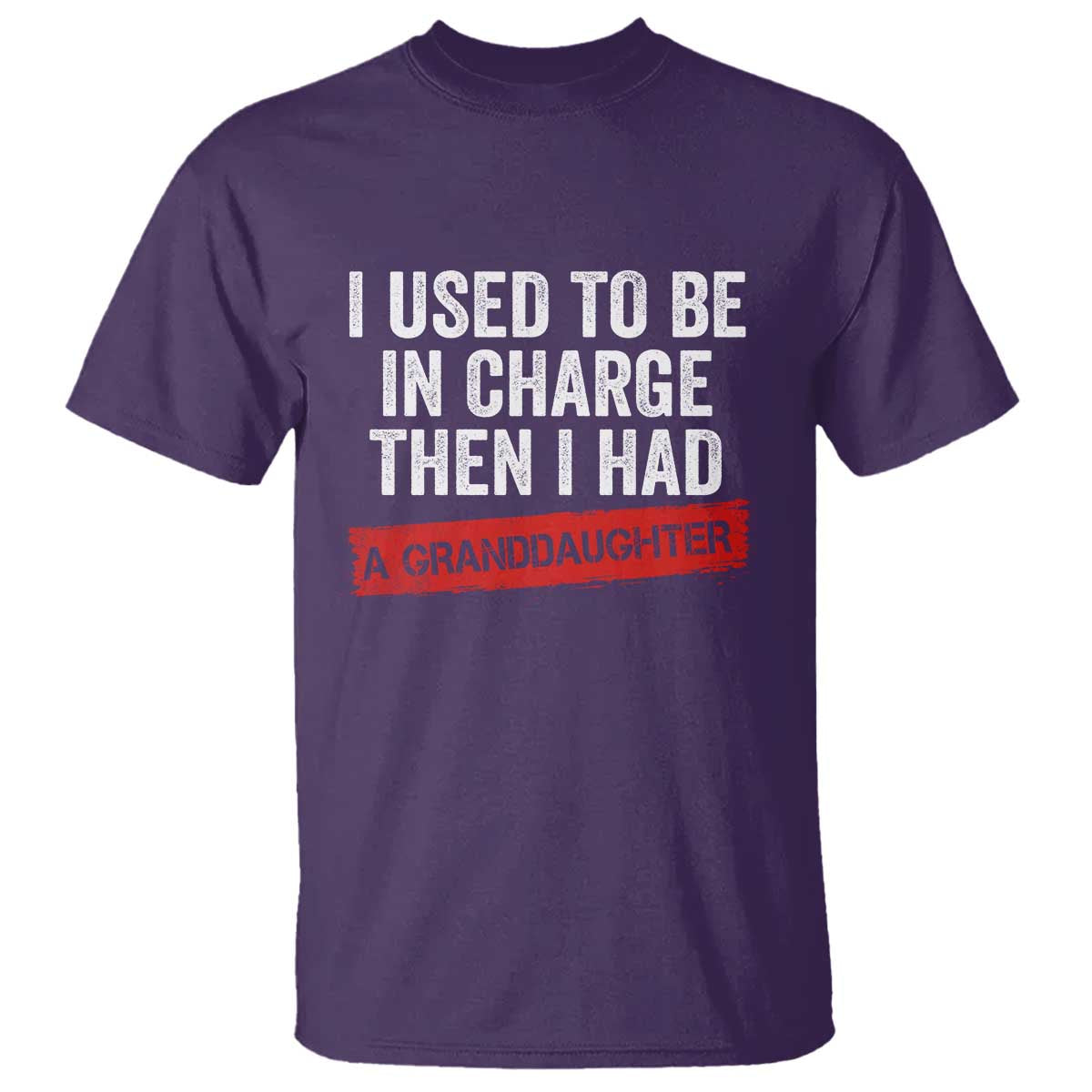 I Used To Be In Charge Then I Had A Granddaughter T Shirt Funny Girl Grandpa Father's Day