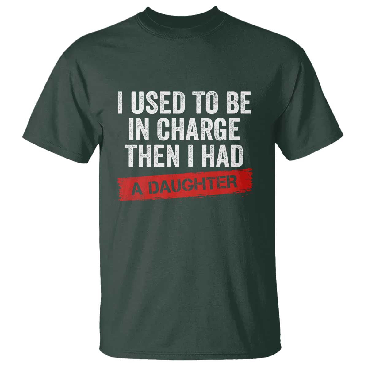 I Used To Be In Charge Then I Had A Daughter T Shirt Funny Girl Dad Fathers Day